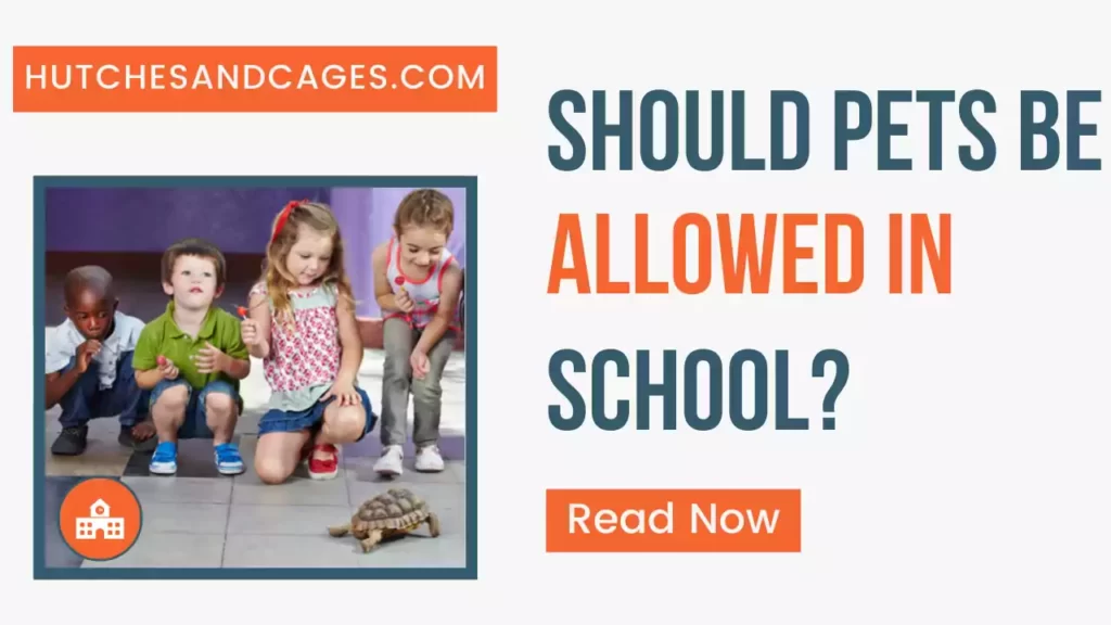 should-pets-be-allowed-in-school