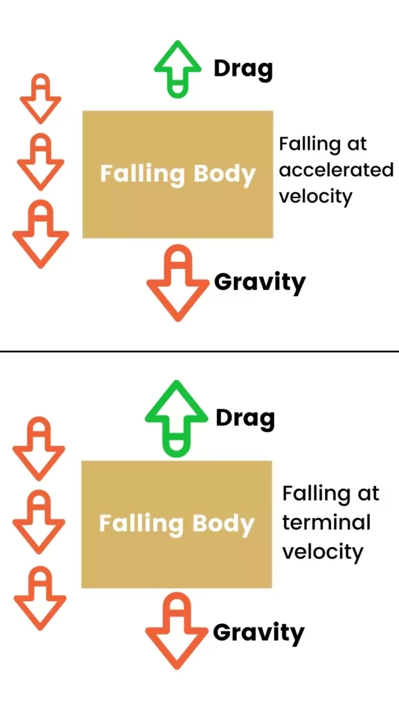 Squirrels-Survive-Terminal-Velocity-Diagram
